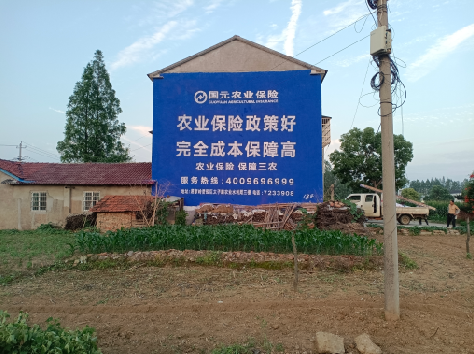 西充墙体广告为何受追捧？